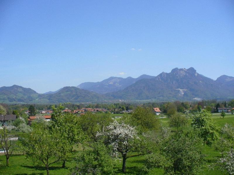 Berghof Guest house 3*